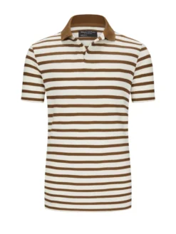 Poloshirt Mit V-Ausschnitt Im Streifenmuster, Braun