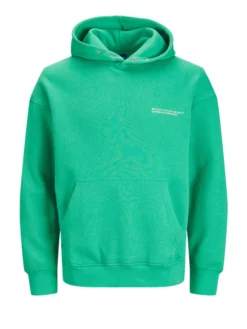 Jack & Jones Hoodie Mit Print Auf Vorder- Und Rückseite, Hellgrün